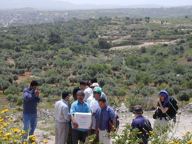 nablus2